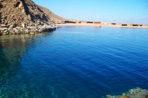 Safari snorkeling : Abu Galum & Blue Hole