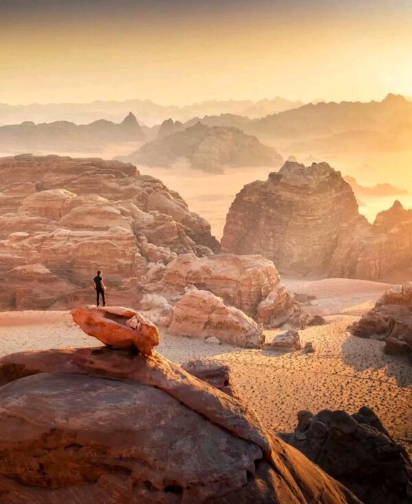 Petra & Wadi Rum - 2 jours - – Image 3