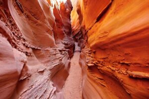 Grand Canyon des couleurs à la mer Rouge