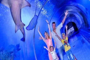 Aquarium Hurghada