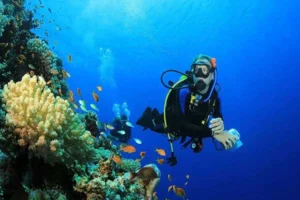 Plongée sous-marine