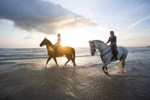 Balade à cheval