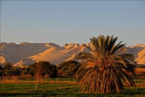 Du mont Moise à l'oasis Ain Hazora