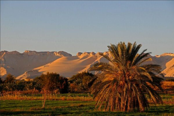Du mont Moise à l'oasis Ain Hazora